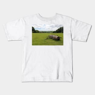 Roller in a green field Kids T-Shirt